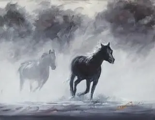 A gallop through the dust