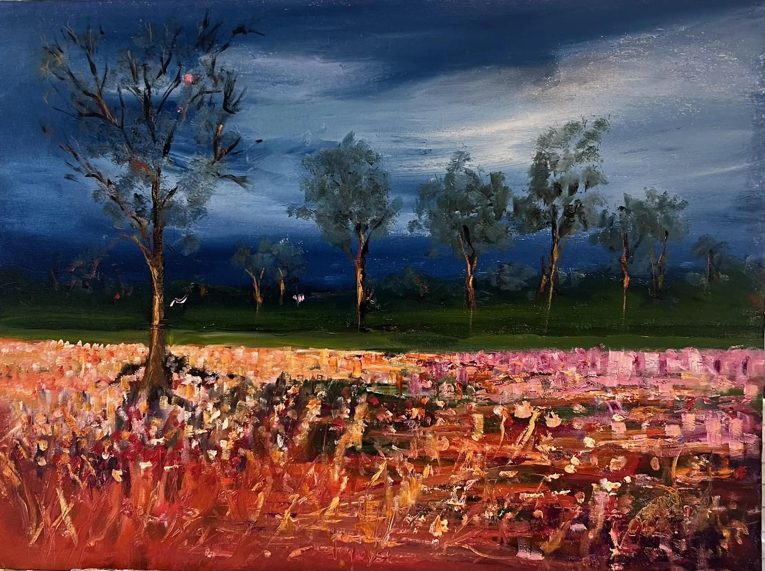 carpet of stars in the outback 
