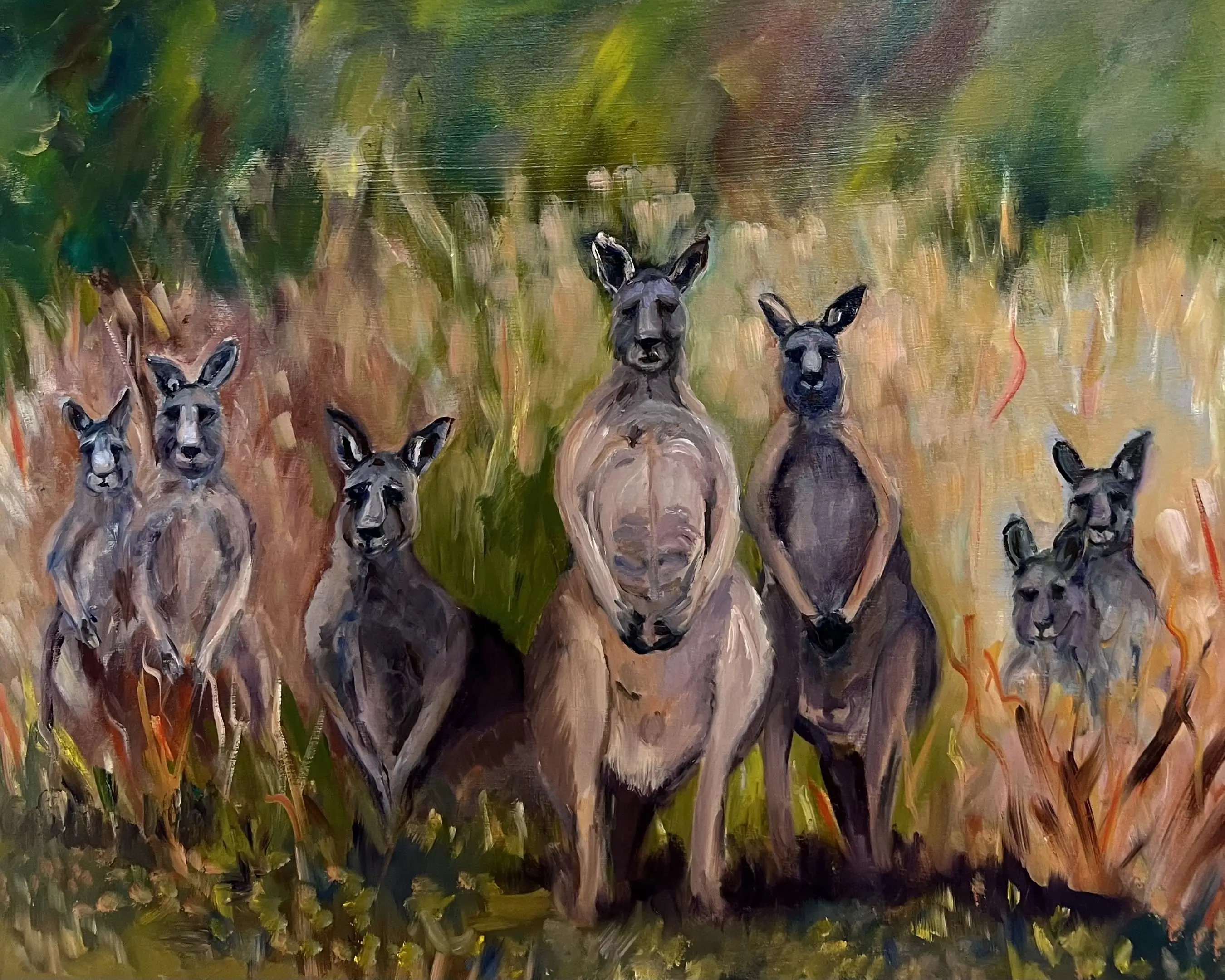 Painkalac creek kangaroo family