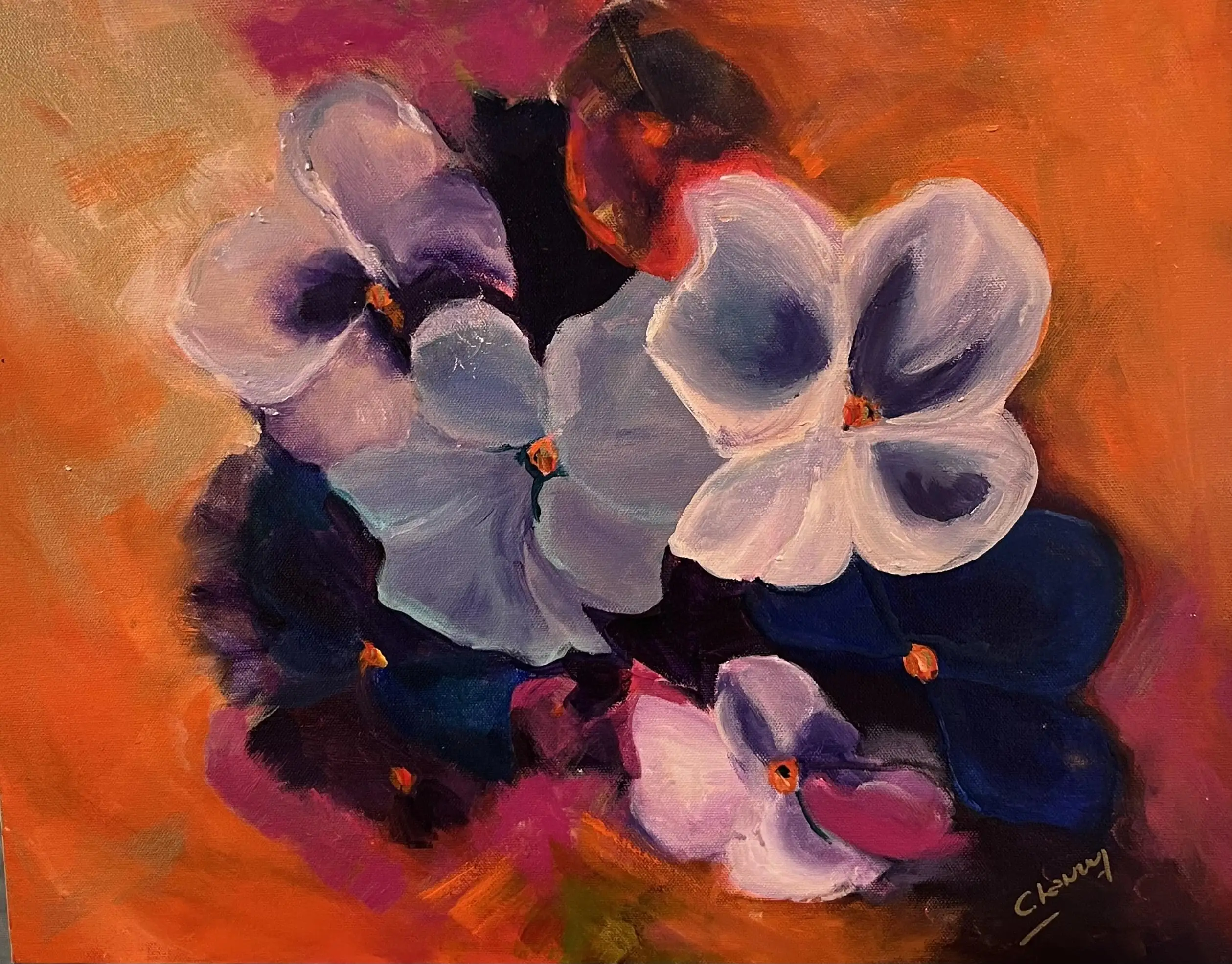 pansies on show