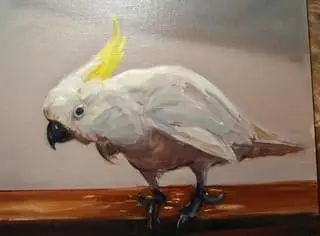 Dance Cockie